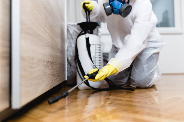 Best Commercial Pest Control Services  in Ridge Wood Heights, FL