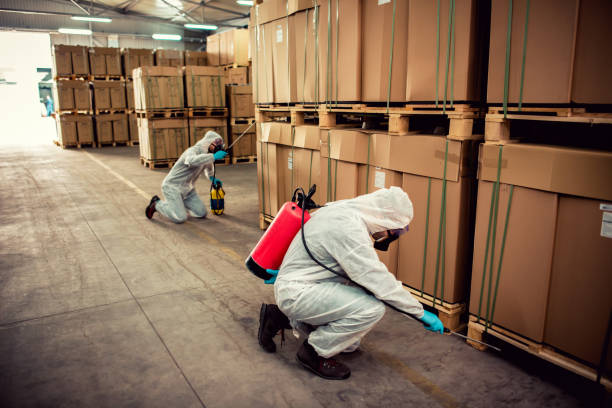 Best Wildlife Control Services  in Ridge Wood Heights, FL