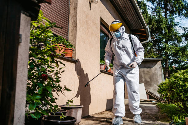 Best Affordable Pest Control Services  in Ridge Wood Heights, FL