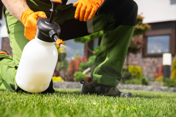 Best Insect Control  in Ridge Wood Heights, FL