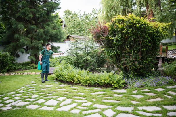 Best Mosquito Control Services  in Ridge Wood Heights, FL