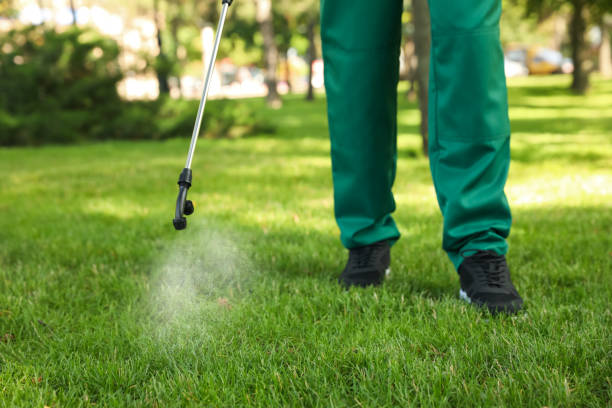 Best Wasp Removal Services  in Ridge Wood Heights, FL