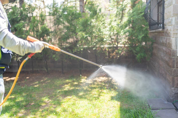 Best Affordable Pest Control Services  in Ridge Wood Heights, FL