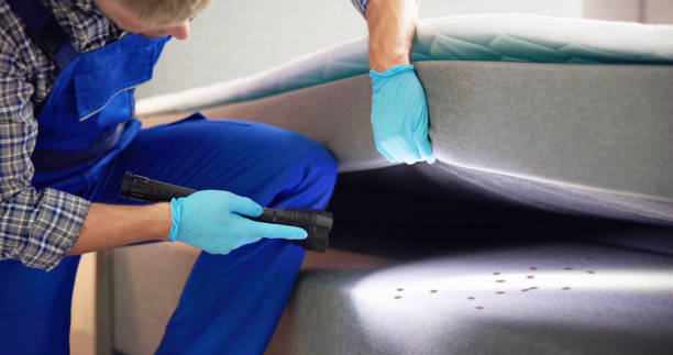 Best Local Pest Control Services  in Ridge Wood Heights, FL
