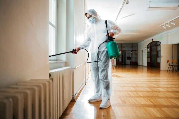 Flea Control Services in Ridge Wood Heights, FL