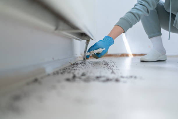 Best Cockroach Control Services  in Ridge Wood Heights, FL